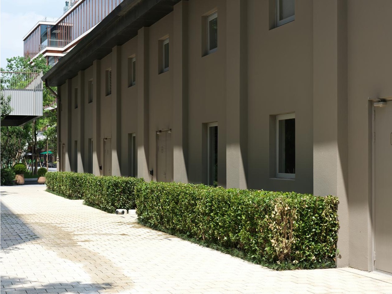 Zářivě natřená podlaha po renovaci